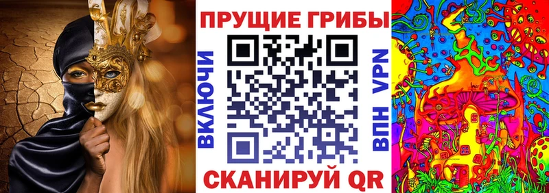 Галлюциногенные грибы Magic Shrooms  цены наркотик  Пойковский 
